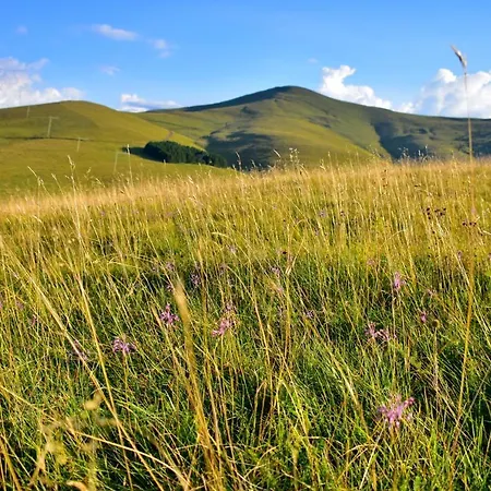Sedmica Vip Bogic Lägenhet