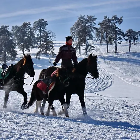 Sedmica Vip Bogic Lägenhet Zlatibor