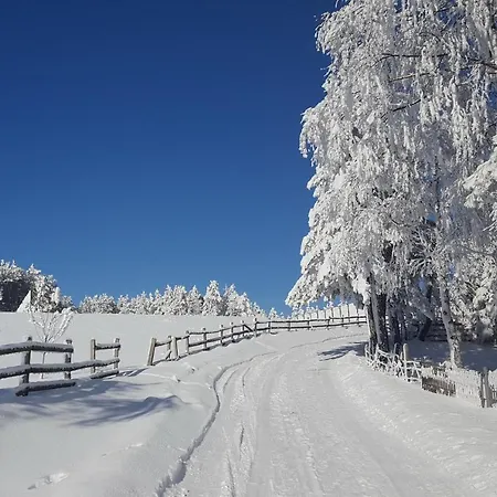 Sedmica Vip Bogic Apartament Zlatibor