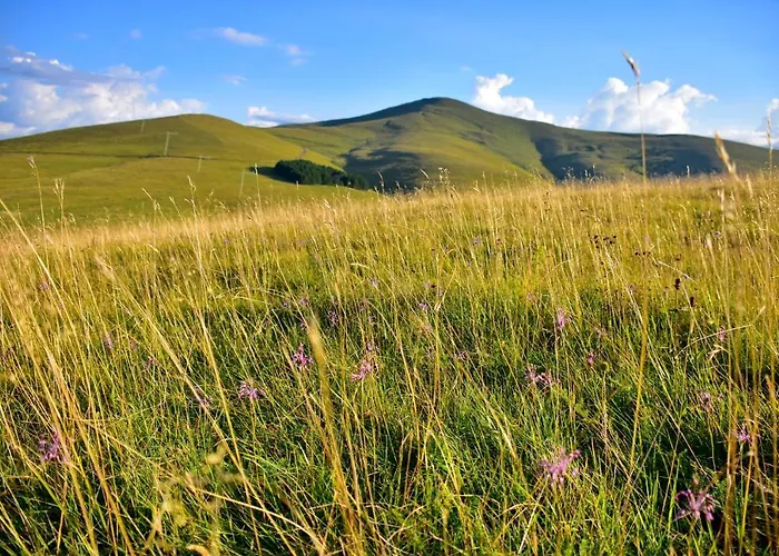 Sedmica Vip Bogic Appartamento