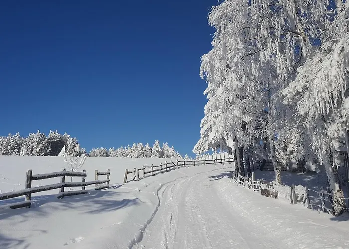 Sedmica Vip Bogic Appartamento Zlatibor